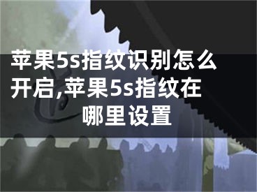 蘋果5s指紋識別怎么開啟,蘋果5s指紋在哪里設置