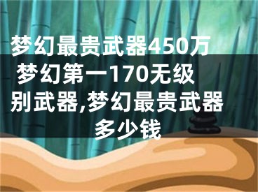 夢幻最貴武器450萬 夢幻第一170無級別武器,夢幻最貴武器多少錢