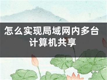 怎么實(shí)現(xiàn)局域網(wǎng)內(nèi)多臺(tái)計(jì)算機(jī)共享