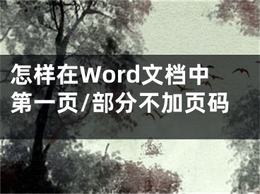 怎樣在Word文檔中第一頁(yè)/部分不加頁(yè)碼