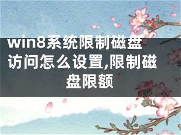 win8系統(tǒng)限制磁盤訪問怎么設(shè)置,限制磁盤限額