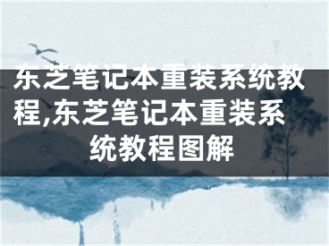 東芝筆記本重裝系統(tǒng)教程,東芝筆記本重裝系統(tǒng)教程圖解