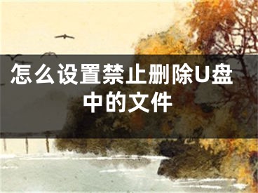 怎么設(shè)置禁止刪除U盤中的文件