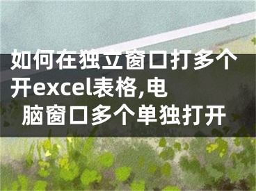 如何在獨立窗口打多個開excel表格,電腦窗口多個單獨打開