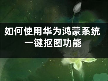 如何使用華為鴻蒙系統(tǒng)一鍵摳圖功能