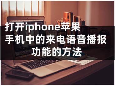 打開iphone蘋果手機中的來電語音播報功能的方法