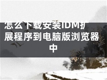 怎么下載安裝IDM擴(kuò)展程序到電腦版瀏覽器中