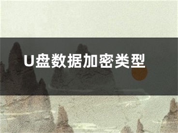 U盤數(shù)據(jù)加密類型