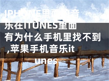 IPHONE里面的音樂(lè)在ITUNES里面有為什么手機(jī)里找不到 ,蘋(píng)果手機(jī)音樂(lè)itunes