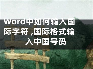 Word中如何輸入國際字符 ,國際格式輸入中國號碼