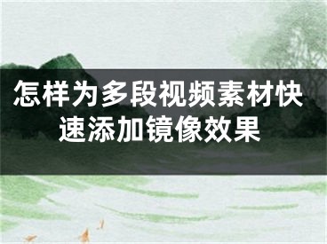 怎樣為多段視頻素材快速添加鏡像效果