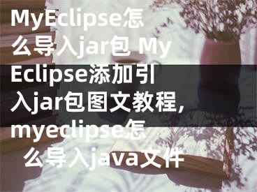 MyEclipse怎么導(dǎo)入jar包 MyEclipse添加引入jar包圖文教程,myeclipse怎么導(dǎo)入java文件