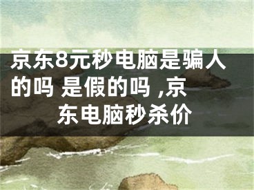 京東8元秒電腦是騙人的嗎 是假的嗎 ,京東電腦秒殺價(jià)