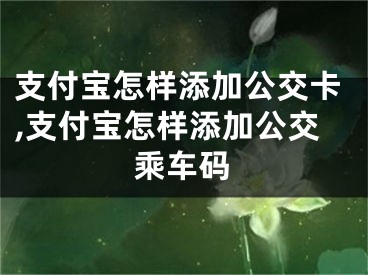 支付寶怎樣添加公交卡,支付寶怎樣添加公交乘車碼