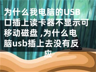 為什么我電腦的USB口插上讀卡器不顯示可移動磁盤 ,為什么電腦usb插上去沒有反應(yīng)