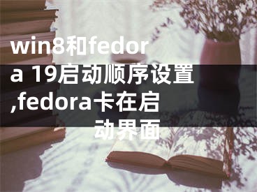 win8和fedora 19啟動(dòng)順序設(shè)置,fedora卡在啟動(dòng)界面