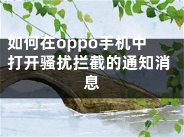 如何在oppo手機(jī)中打開(kāi)騷擾攔截的通知消息