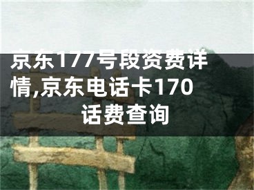 京東177號(hào)段資費(fèi)詳情,京東電話卡170話費(fèi)查詢