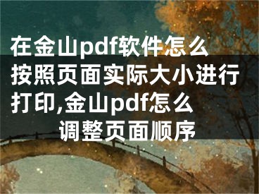 在金山pdf軟件怎么按照頁面實際大小進行打印,金山pdf怎么調(diào)整頁面順序