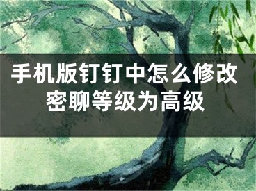 手機版釘釘中怎么修改密聊等級為高級