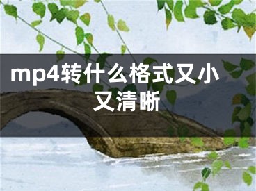 mp4轉(zhuǎn)什么格式又小又清晰