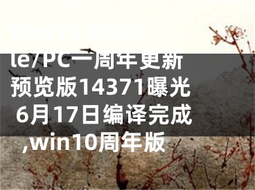 Win10 Mobile/PC一周年更新預(yù)覽版14371曝光 6月17日編譯完成,win10周年版