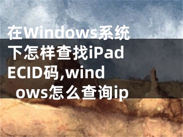 在Windows系統(tǒng)下怎樣查找iPad ECID碼,windows怎么查詢ip