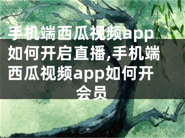 手機端西瓜視頻app如何開啟直播,手機端西瓜視頻app如何開會員