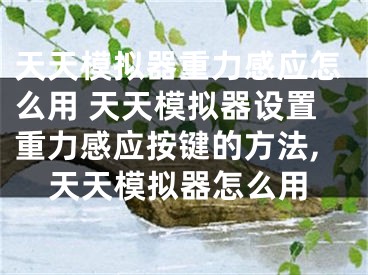 天天模擬器重力感應怎么用 天天模擬器設置重力感應按鍵的方法,天天模擬器怎么用