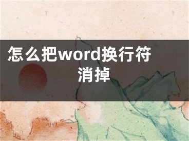 怎么把word換行符消掉