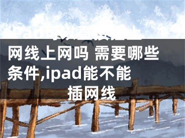 iPad可以直接插上網(wǎng)線上網(wǎng)嗎 需要哪些條件,ipad能不能插網(wǎng)線