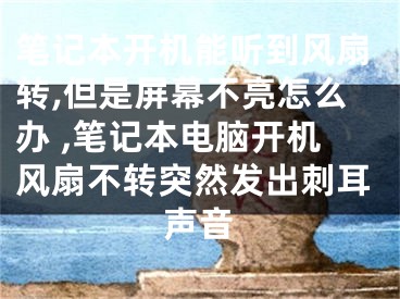 筆記本開機(jī)能聽到風(fēng)扇轉(zhuǎn),但是屏幕不亮怎么辦 ,筆記本電腦開機(jī)風(fēng)扇不轉(zhuǎn)突然發(fā)出刺耳聲音