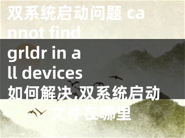 雙系統(tǒng)啟動(dòng)問題 cannot find grldr in all devices如何解決,雙系統(tǒng)啟動(dòng)文件在哪里