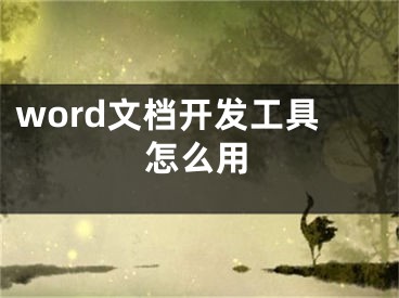 word文檔開發(fā)工具怎么用