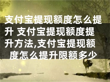 支付寶提現(xiàn)額度怎么提升 支付寶提現(xiàn)額度提升方法,支付寶提現(xiàn)額度怎么提升限額多少