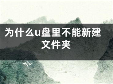 為什么u盤里不能新建文件夾