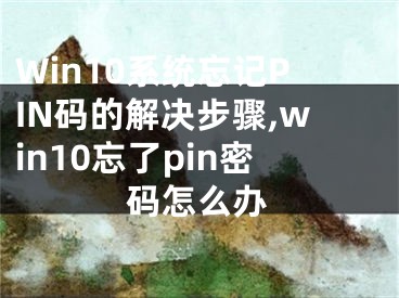 Win10系統(tǒng)忘記PIN碼的解決步驟,win10忘了pin密碼怎么辦