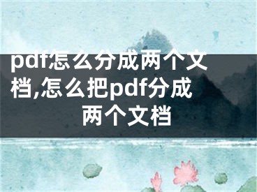 pdf怎么分成兩個(gè)文檔,怎么把pdf分成兩個(gè)文檔