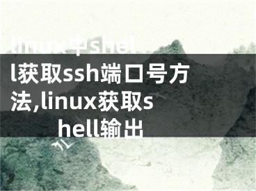 linux中shell獲取ssh端口號(hào)方法,linux獲取shell輸出