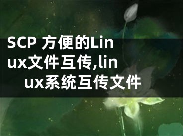 SCP 方便的Linux文件互傳,linux系統(tǒng)互傳文件