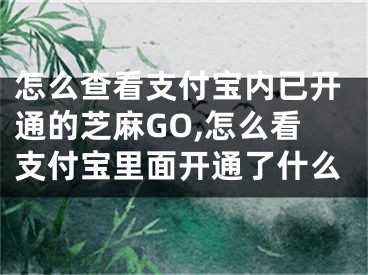 怎么查看支付寶內(nèi)已開通的芝麻GO,怎么看支付寶里面開通了什么