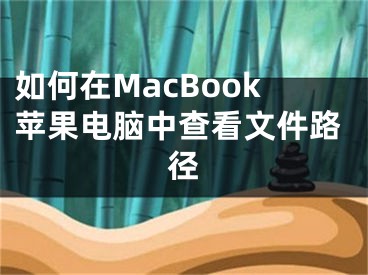 如何在MacBook蘋果電腦中查看文件路徑