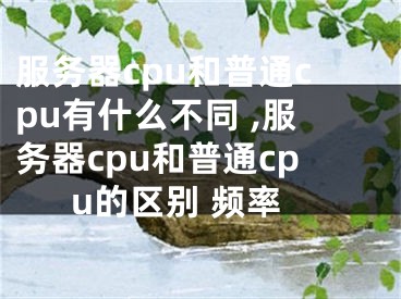 服務(wù)器cpu和普通cpu有什么不同 ,服務(wù)器cpu和普通cpu的區(qū)別 頻率