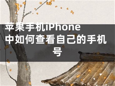 蘋果手機iPhone中如何查看自己的手機號