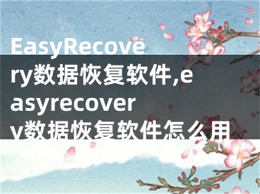 EasyRecovery數(shù)據(jù)恢復軟件,easyrecovery數(shù)據(jù)恢復軟件怎么用