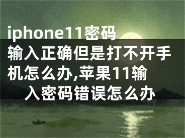 iphone11密碼輸入正確但是打不開手機(jī)怎么辦,蘋果11輸入密碼錯(cuò)誤怎么辦