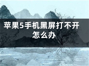 蘋果5手機黑屏打不開怎么辦