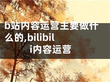 b站內(nèi)容運(yùn)營主要做什么的,bilibili內(nèi)容運(yùn)營