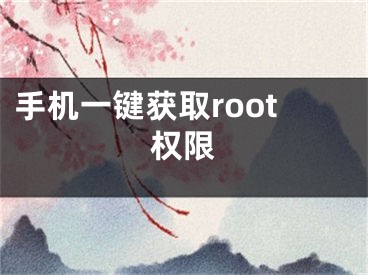 手機(jī)一鍵獲取root權(quán)限