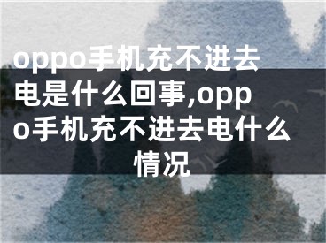 oppo手機充不進去電是什么回事,oppo手機充不進去電什么情況